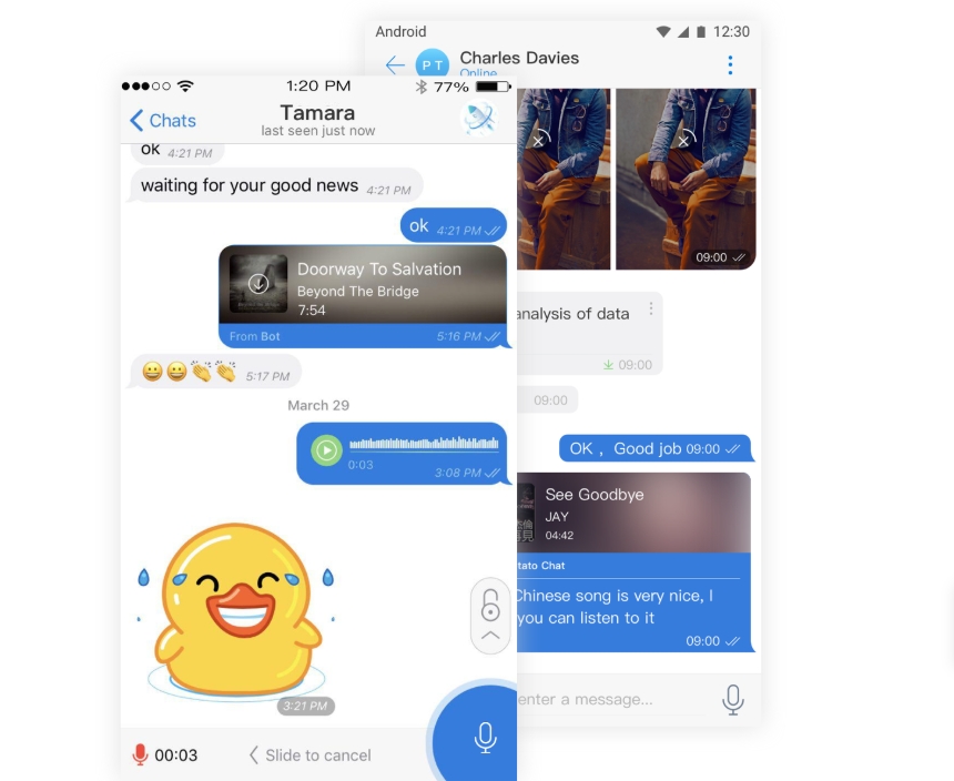 Potato Chat 电脑版支持哪些操作系统？   