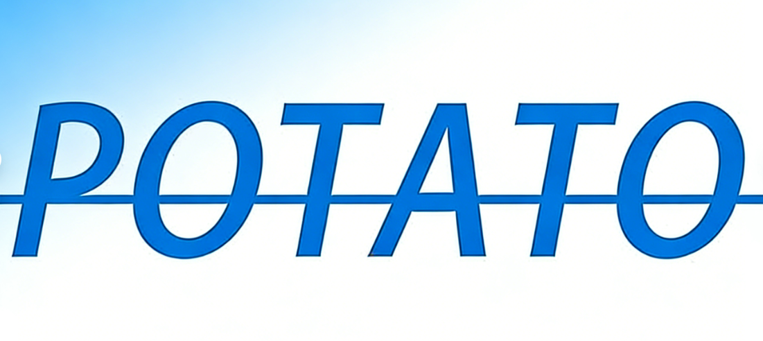 Potato Chat自动下载怎么关闭？