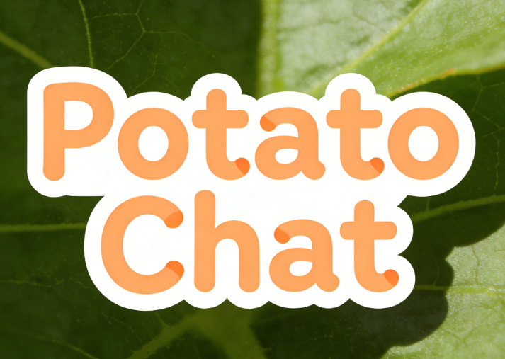 Potato Chat总是提示“网络连接错误”怎么办？