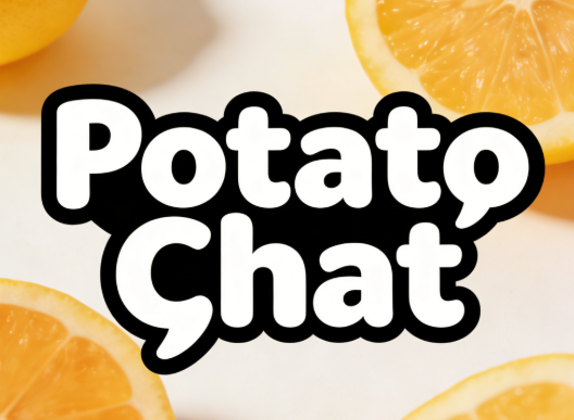 Potato Chat 是否支持加密聊天？